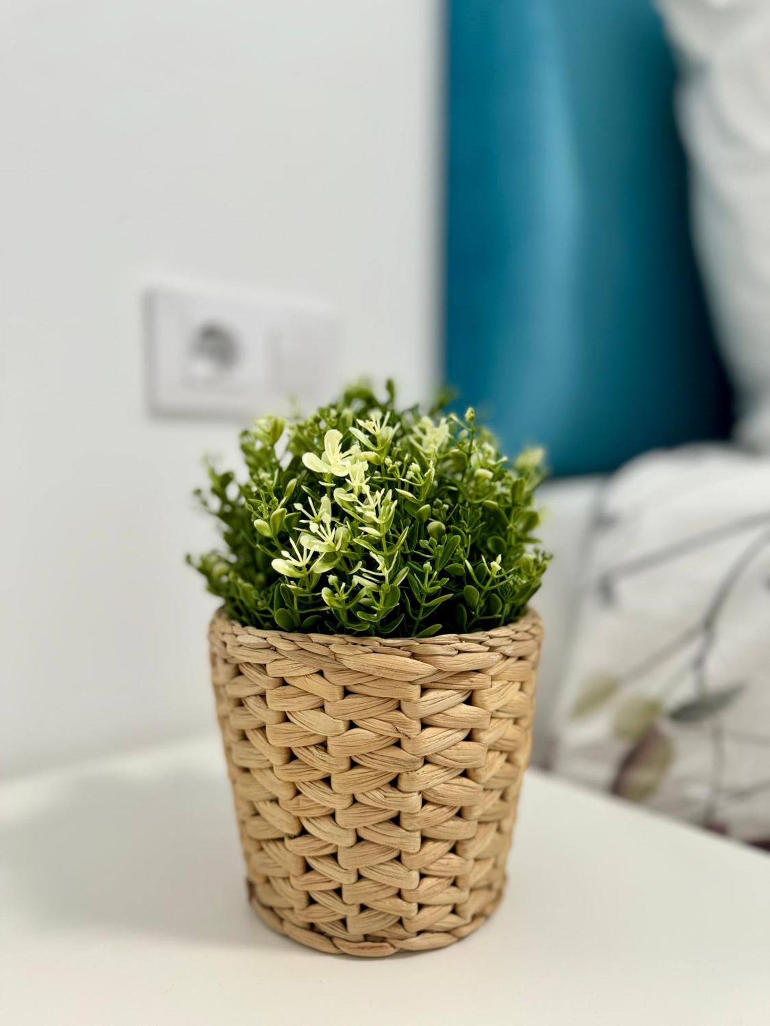 Apartamento Centrico Vigo Exterior photo